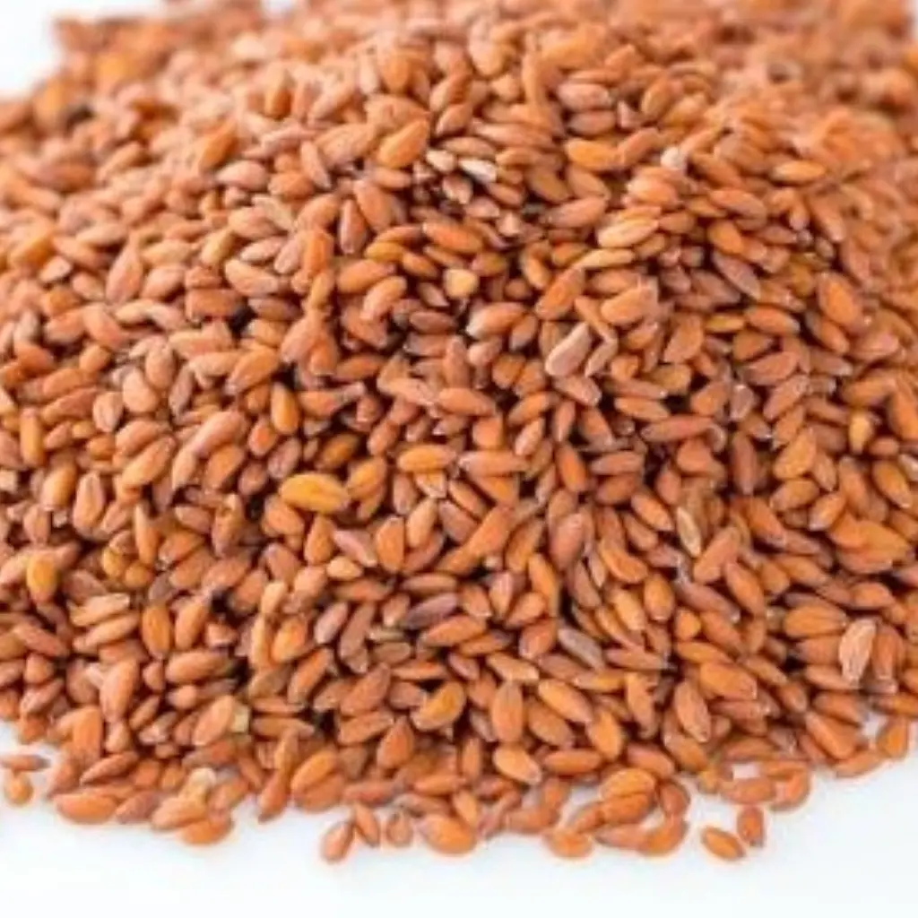 Qasimi Cress Seeds (Kilo)